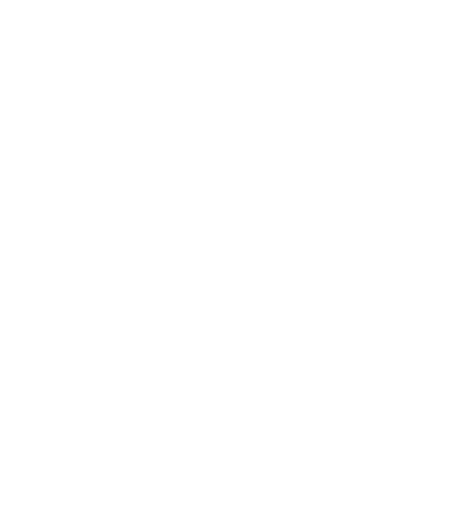 LOGO HEILMASSEUR BITZINGER